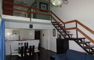 Penthouse 4 A-B Salvia